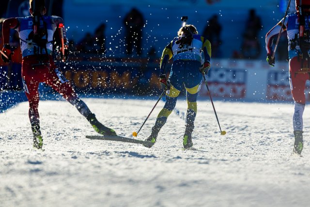 Offizieller Fanshop der BMW IBU Weltmeisterschaften Biathlon: Fans